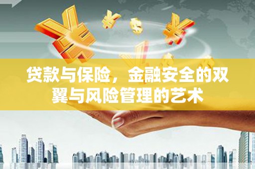 边坝贷款与保险，金融安全的双翼与风险管理的艺术