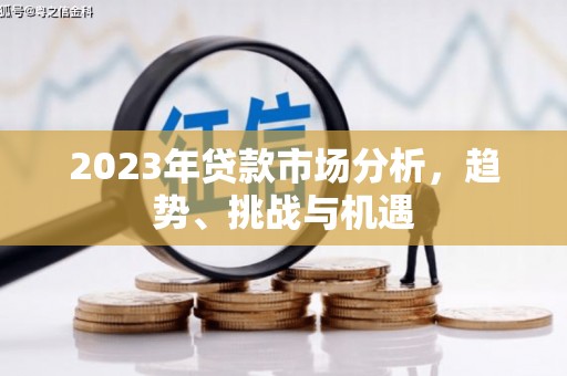 江东2023年贷款市场分析，趋势、挑战与机遇