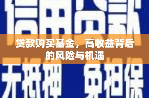 曹妃甸贷款购买基金，高收益背后的风险与机遇