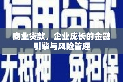 务川商业贷款，企业成长的金融引擎与风险管理