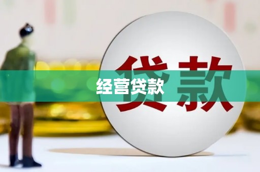 定远经营贷款