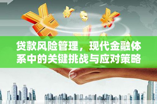 临县贷款风险管理，现代金融体系中的关键挑战与应对策略