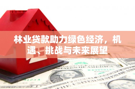 海东林业贷款助力绿色经济，机遇、挑战与未来展望