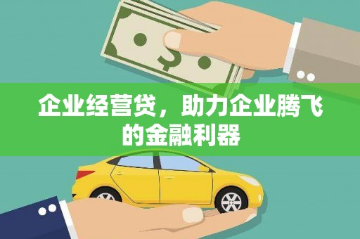 田林企业经营贷，助力企业腾飞的金融利器