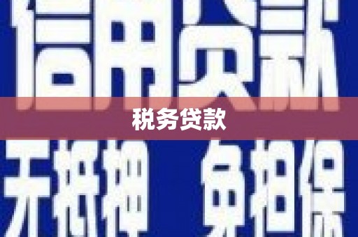 西屯税务贷款