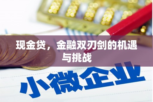 碑林现金贷，金融双刃剑的机遇与挑战