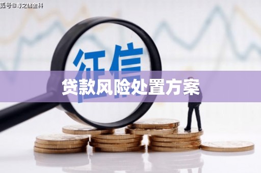 北市贷款风险处置方案