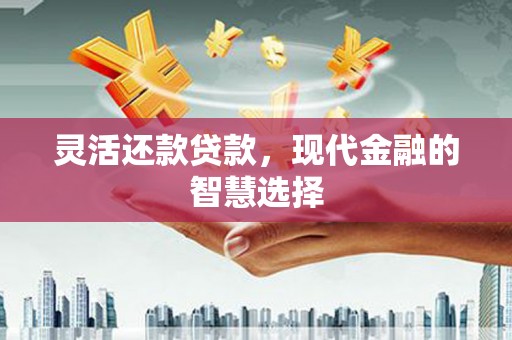 西吉灵活还款贷款，现代金融的智慧选择