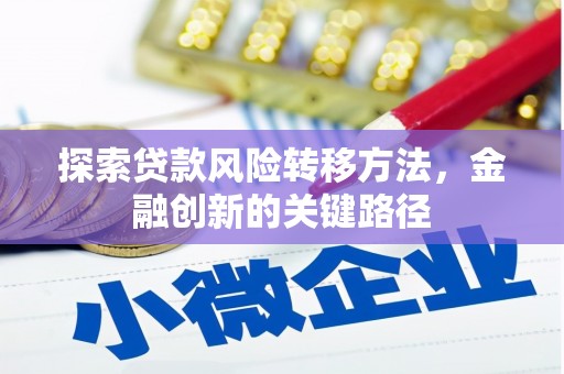 田林探索贷款风险转移方法，金融创新的关键路径