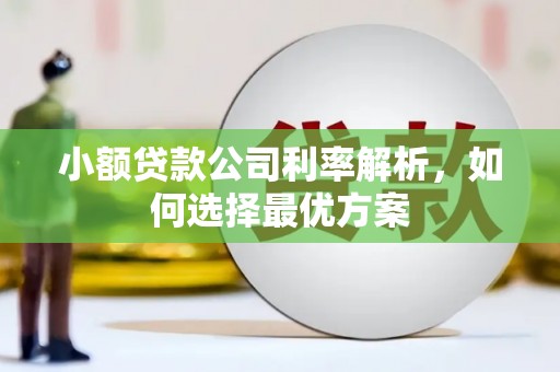 蓬江小额贷款公司利率解析，如何选择最优方案