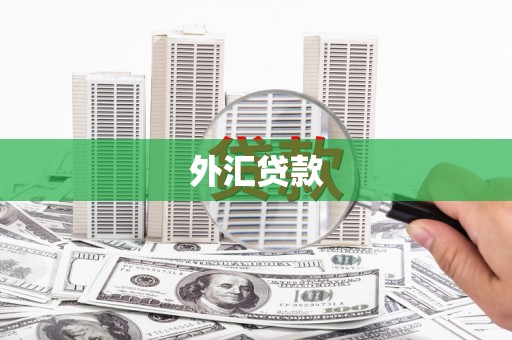 赣州外汇贷款