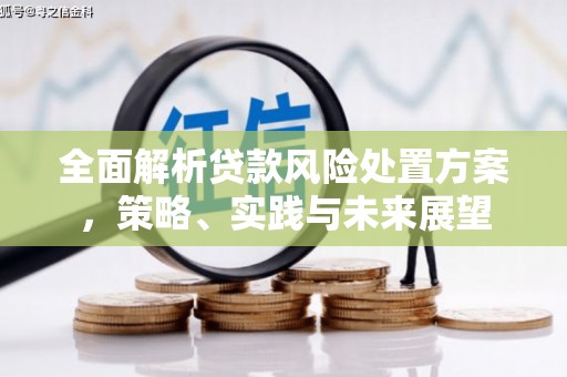 新林全面解析贷款风险处置方案，策略、实践与未来展望