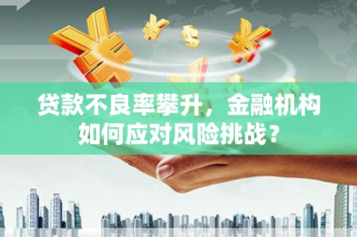 稻城贷款不良率攀升，金融机构如何应对风险挑战？