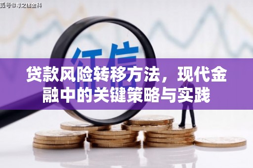 武清贷款风险转移方法，现代金融中的关键策略与实践