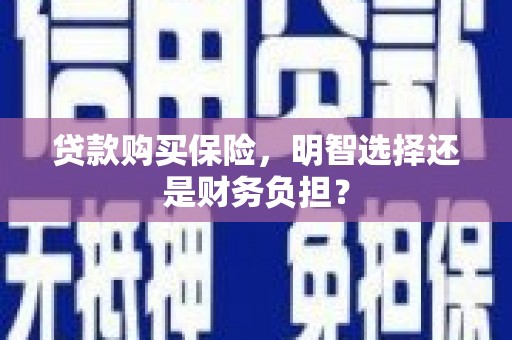 埔心贷款购买保险，明智选择还是财务负担？