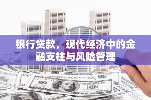 官田银行贷款，现代经济中的金融支柱与风险管理