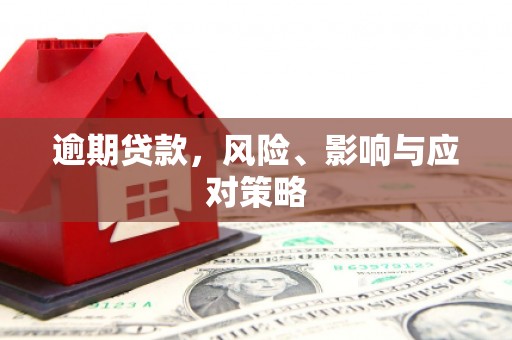 东丰逾期贷款，风险、影响与应对策略