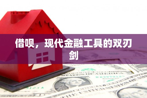 渭城借呗，现代金融工具的双刃剑