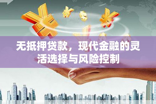无为无抵押贷款，现代金融的灵活选择与风险控制
