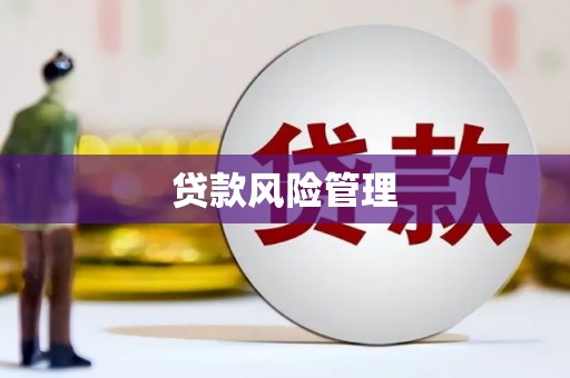 瑞芳贷款风险管理
