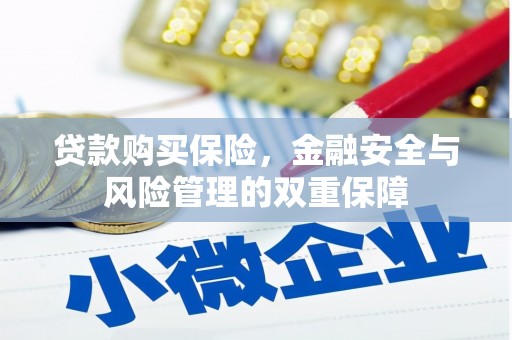 泸溪贷款购买保险，金融安全与风险管理的双重保障