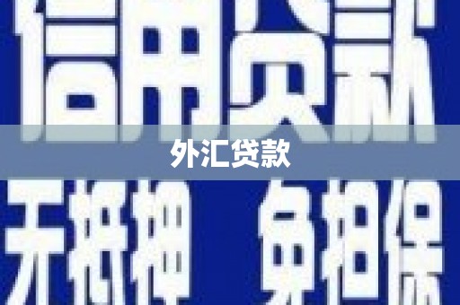 香洲外汇贷款