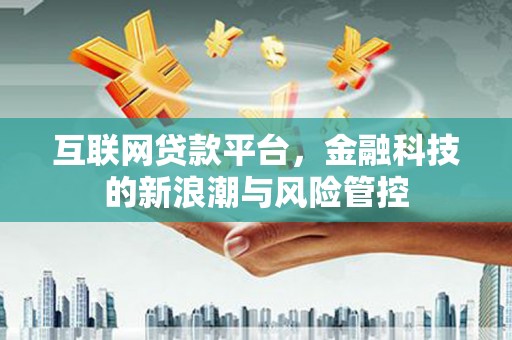武隆互联网贷款平台，金融科技的新浪潮与风险管控