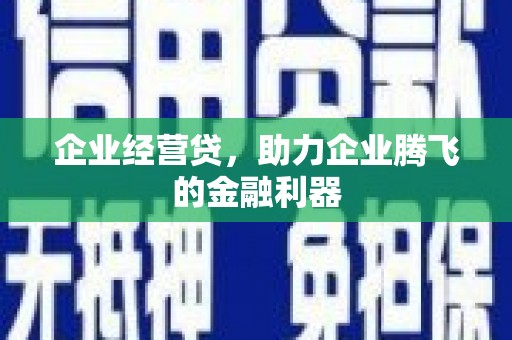 稻城企业经营贷，助力企业腾飞的金融利器
