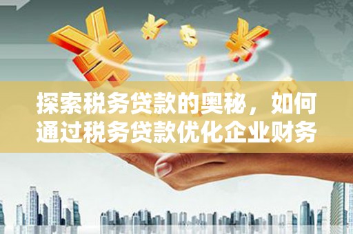 洋县探索税务贷款的奥秘，如何通过税务贷款优化企业财务