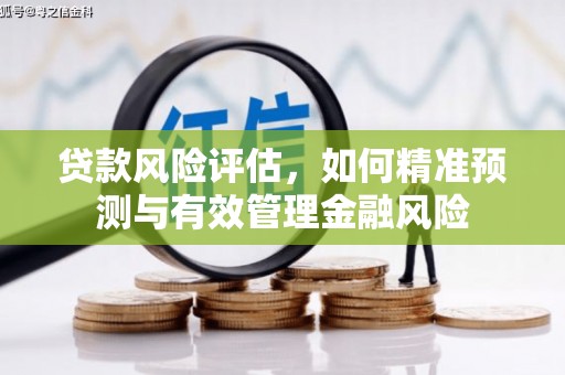 广南贷款风险评估，如何精准预测与有效管理金融风险