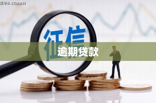 桃江逾期贷款