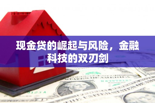 磁县现金贷的崛起与风险，金融科技的双刃剑