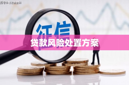 安南贷款风险处置方案