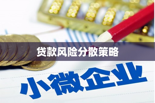 康马贷款风险分散策略