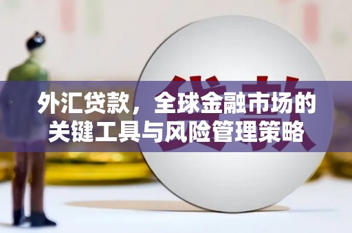 安康外汇贷款，全球金融市场的关键工具与风险管理策略