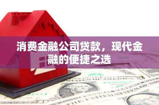 山阳消费金融公司贷款，现代金融的便捷之选