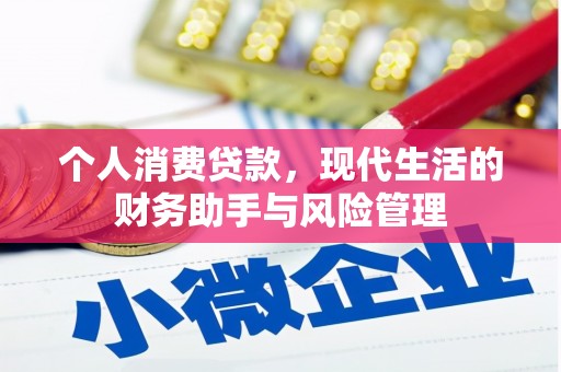 望城个人消费贷款，现代生活的财务助手与风险管理