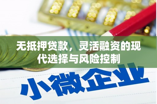 临沧无抵押贷款，灵活融资的现代选择与风险控制