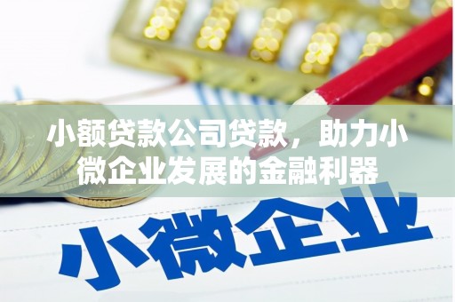贾汪小额贷款公司贷款，助力小微企业发展的金融利器