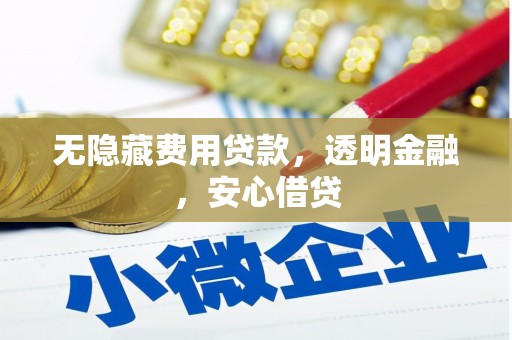 越西无隐藏费用贷款，透明金融，安心借贷