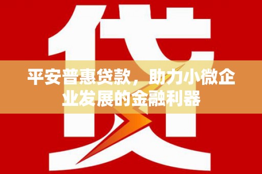 兴和平安普惠贷款，助力小微企业发展的金融利器