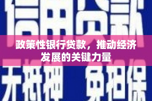 二水政策性银行贷款，推动经济发展的关键力量