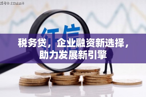文峰税务贷，企业融资新选择，助力发展新引擎