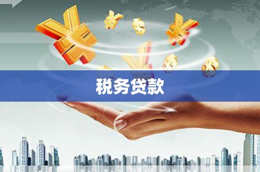 雅江税务贷款