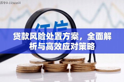 虞城贷款风险处置方案，全面解析与高效应对策略