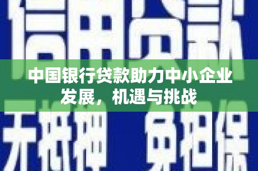 武隆中国银行贷款助力中小企业发展，机遇与挑战