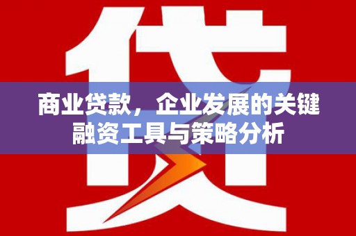 陇川商业贷款，企业发展的关键融资工具与策略分析