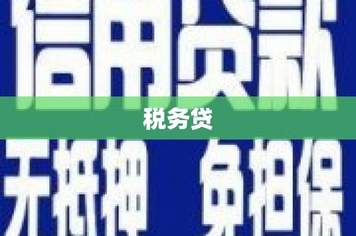 石龙税务贷