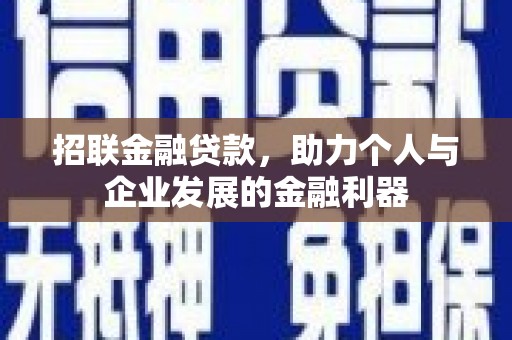 武功招联金融贷款，助力个人与企业发展的金融利器