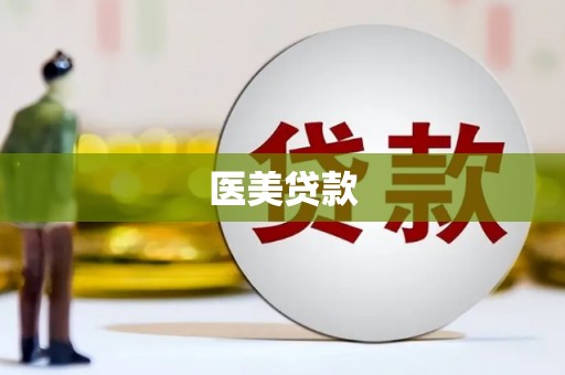 涞水医美贷款